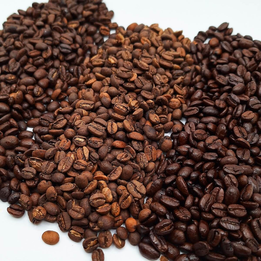 The Ultimate Guide to Coffee Grading