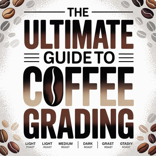 The Ultimate Guide to Coffee Grading