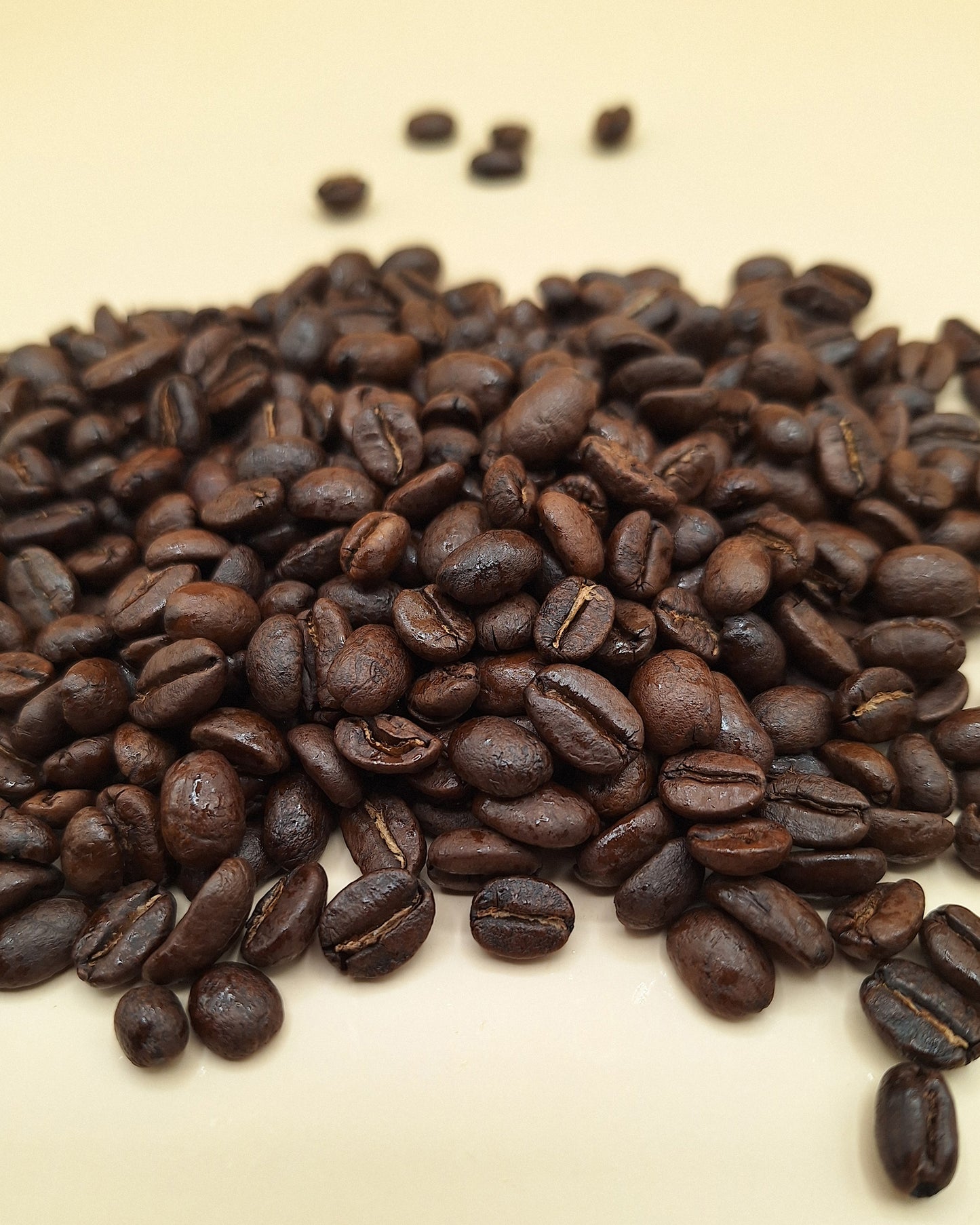 A closeup of dark roasted specialty coffee beans with a central and south american origin.