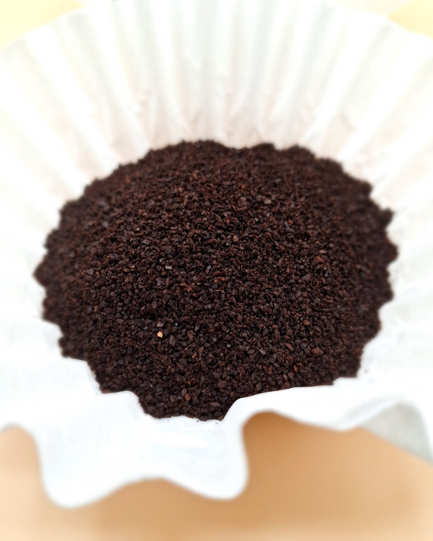 Espresso coffee grounds in a coffee filter.