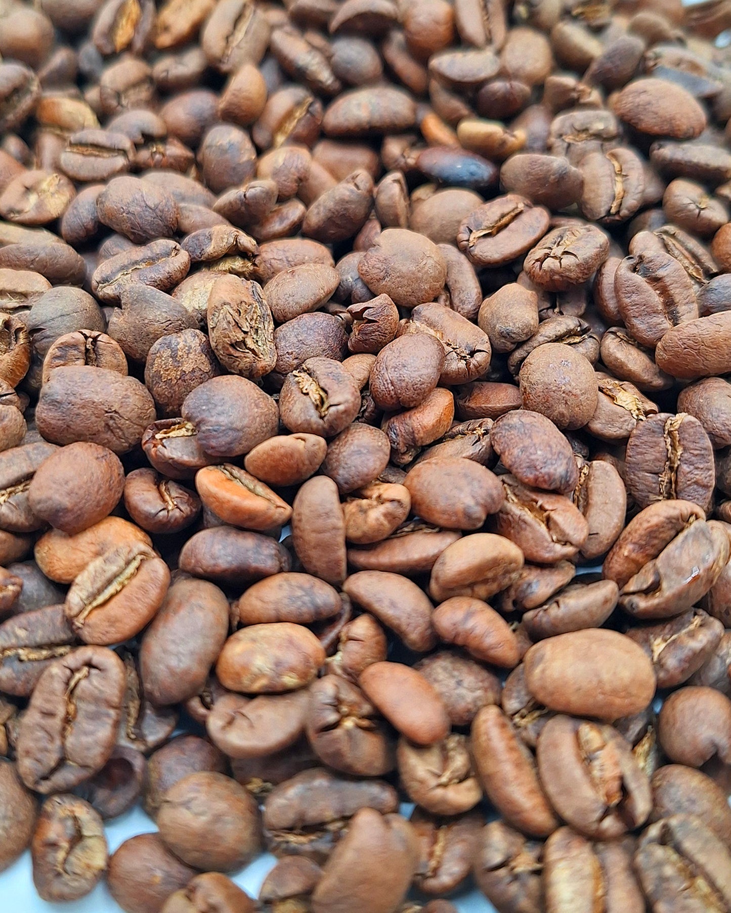 An array of light roast Ethiopian coffee beans.