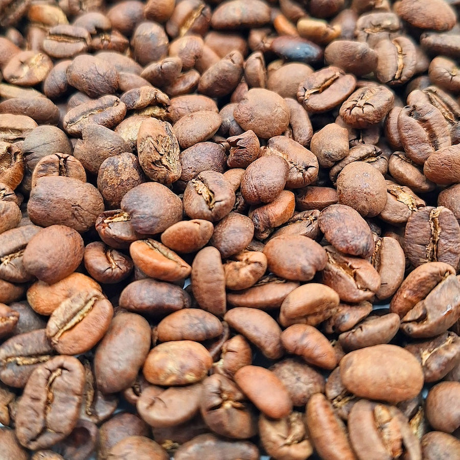 Light roasted whole coffee beans by Carolina Coffee Works.