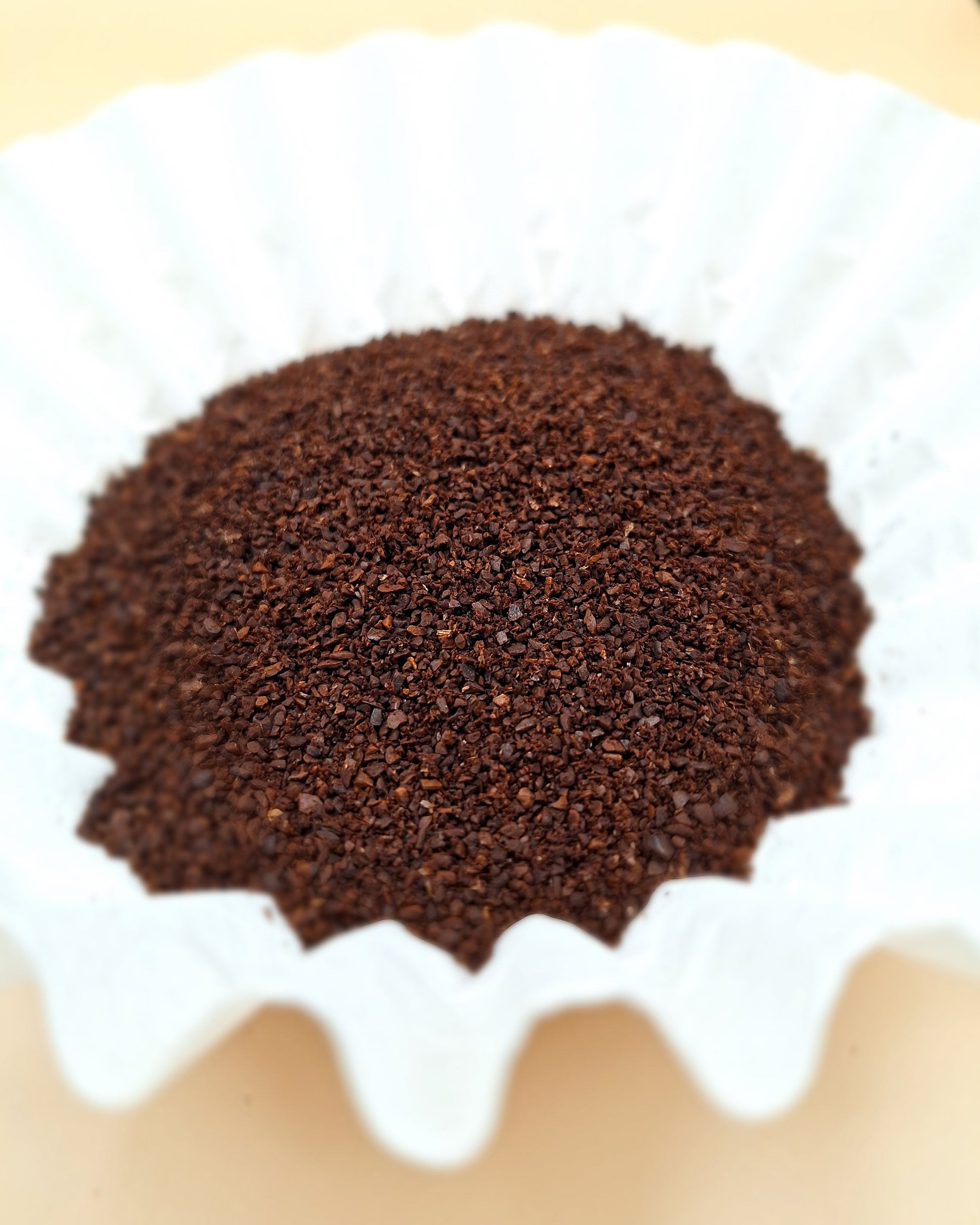 Colombiian decaffeinated coffee ground coffee in a coffee filter. 