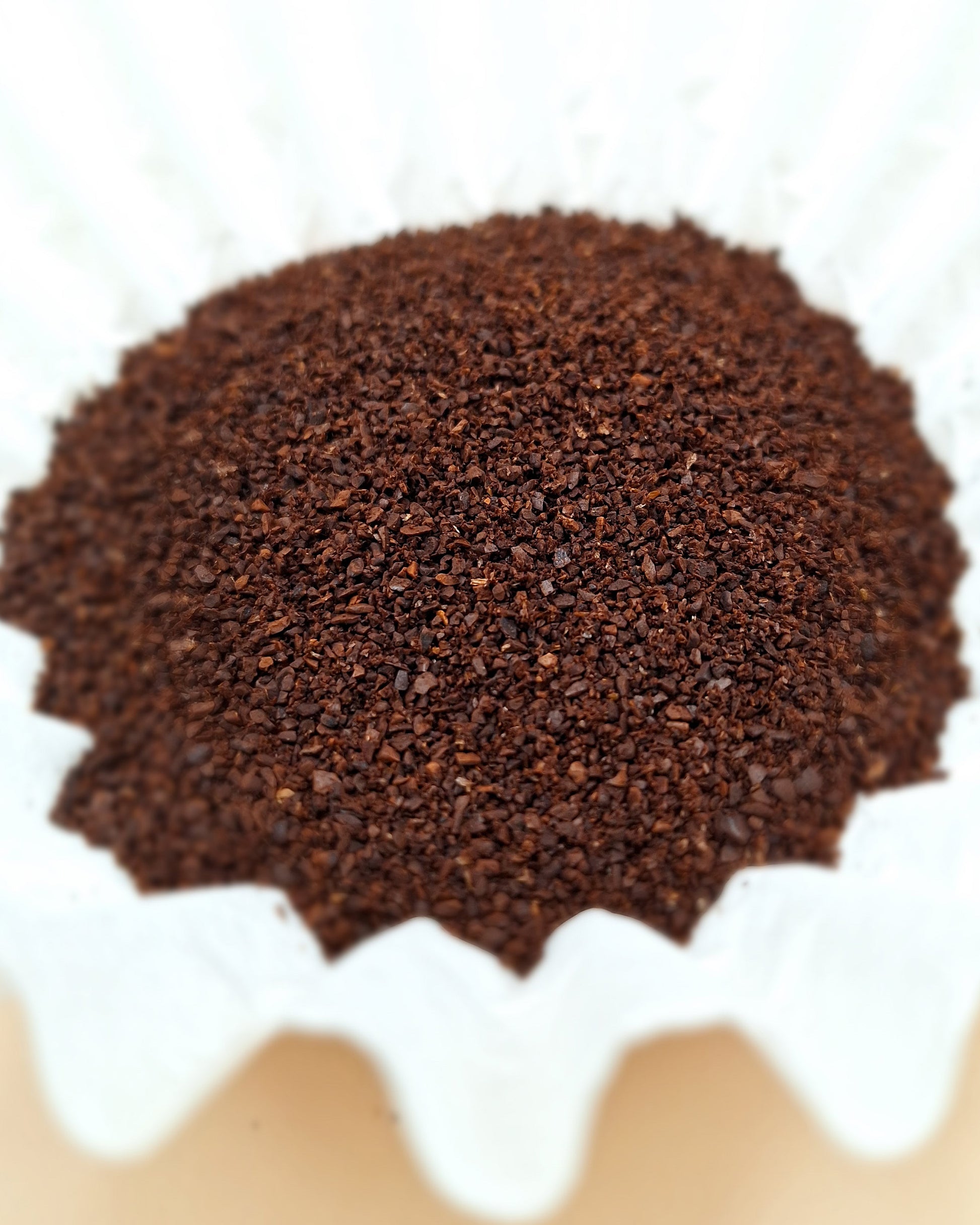 Ground Carolina Coffee Works Medium Roast Coffee beans in a white coffee filter on a tan background. 